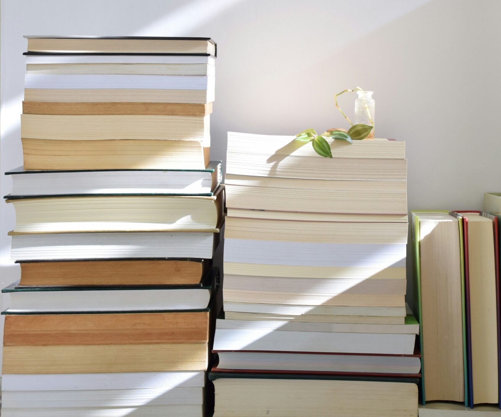 Bücher zum Entspannen Romane für die Seele asal-lotfi-8ePZbdxnpi0-unsplash Bücher zum Entspannen Romane für die Seele