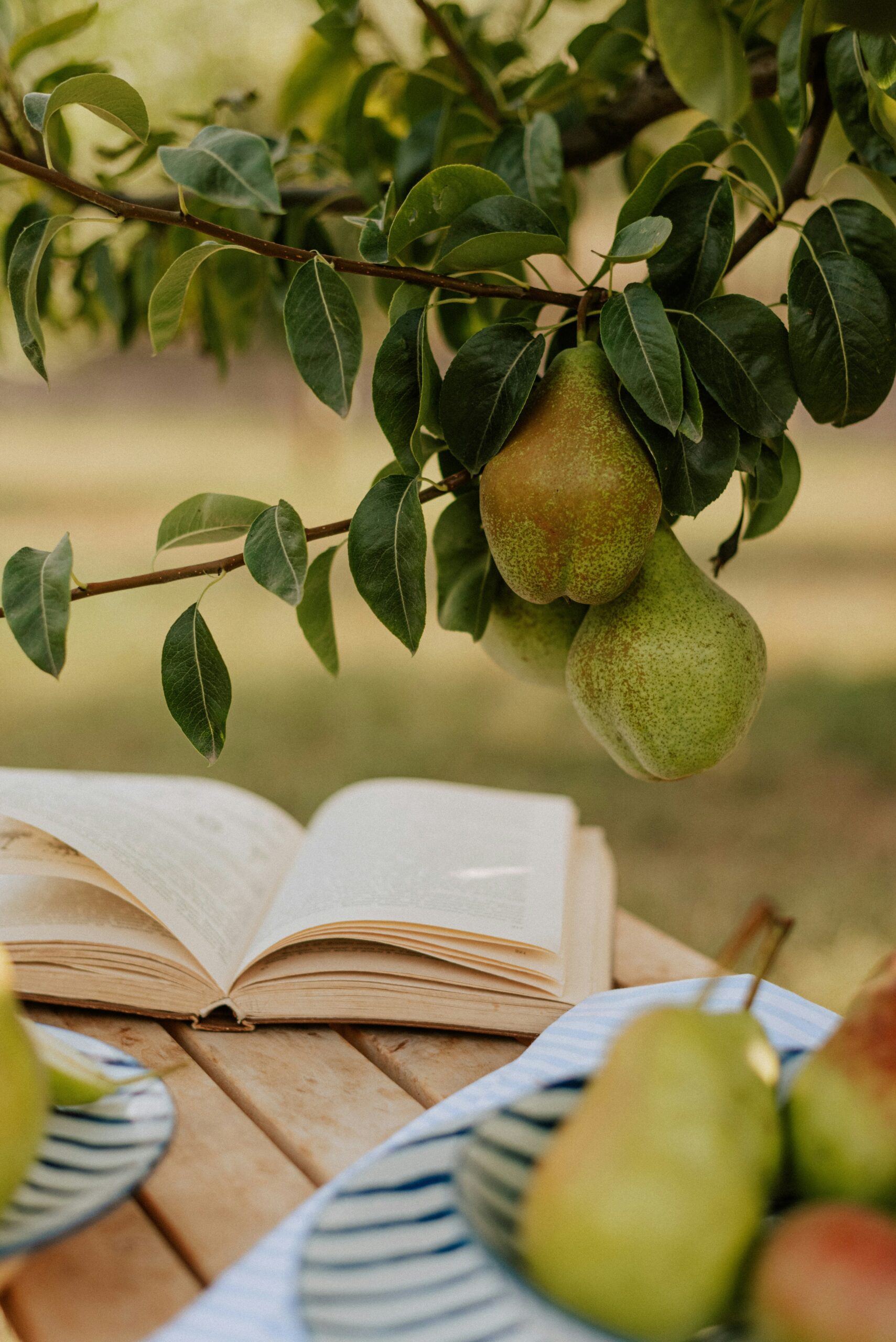 Lustige Bücher für den Urlaub_kateryna-hliznitsova-3302w_-8lcM-unsplash Bücher für den Urlaub